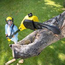 Best Lawn Pest Prevention  in USA